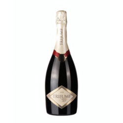 Aleksandrović Trijumf Noir Penušavac 0,75L